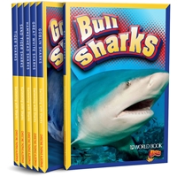 Swimming with Sharks sharks, ocean, swimming, non-fiction, world book