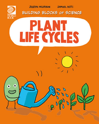 Plant Life Cycles