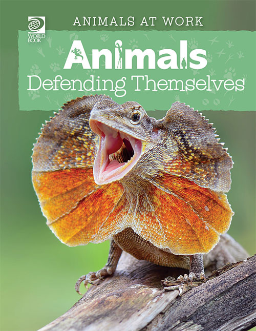 Animals at Work