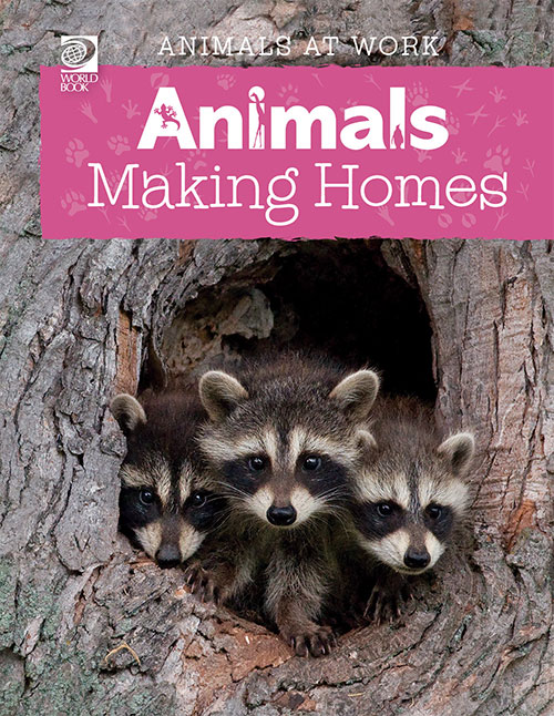 Animals Making Homes