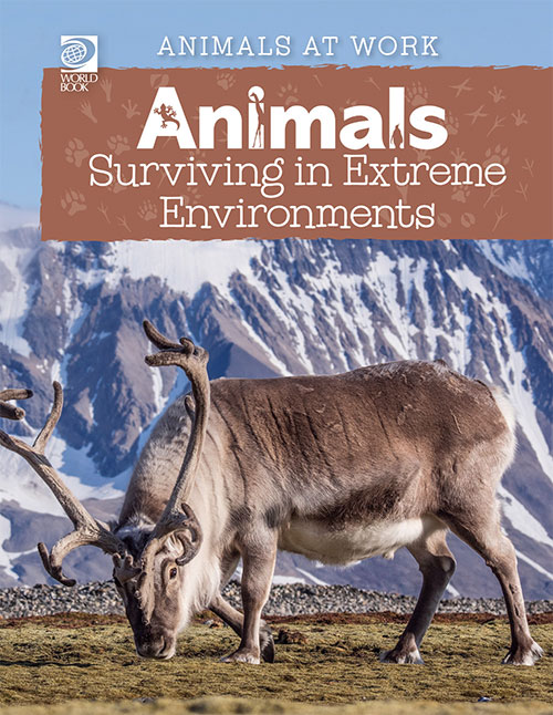 Animals Suriving in Extreme Environments