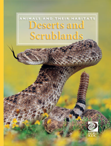 Deserts and Scrublands