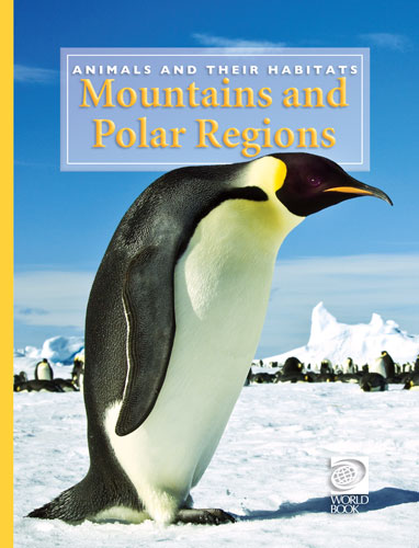 Mountains and Polar Regions