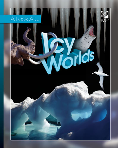 Icy Worlds