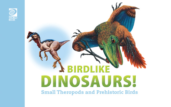 Birdlike Dinosaurs! Small Theropods and Prehistoric Birds