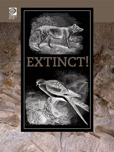 Extinct!