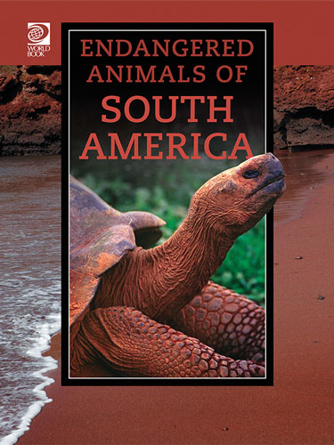 Endangered Animals of South America
