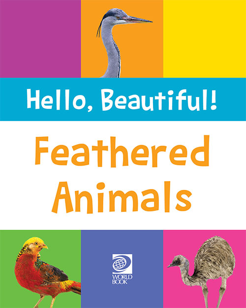 Feathered Animals