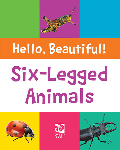 Six-Legged Animals