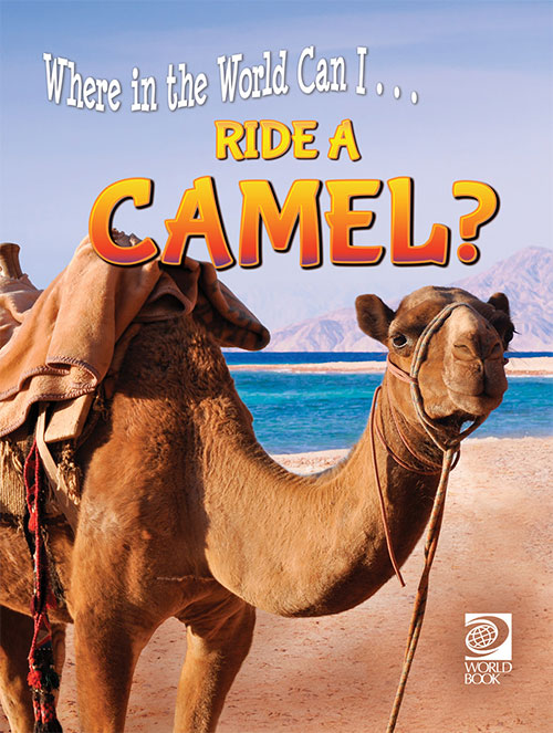 Ride a Camel?