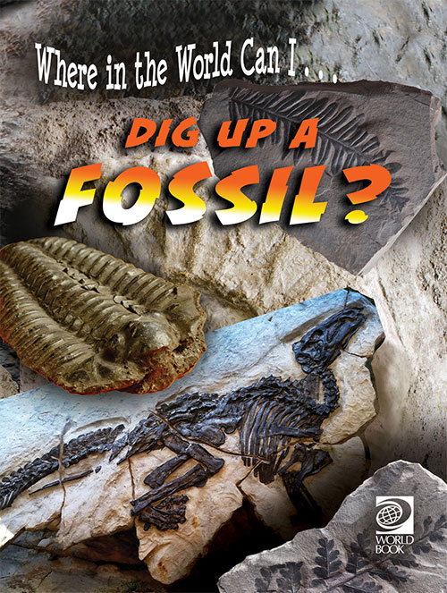 Dig Up a Fossil?