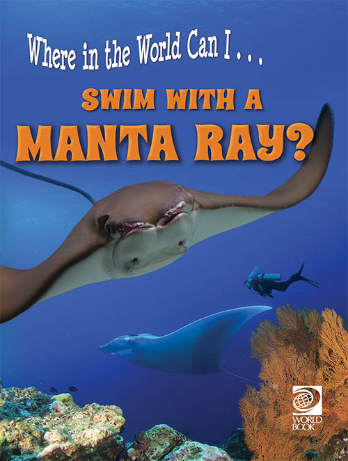 Swim with a Manta Ray?