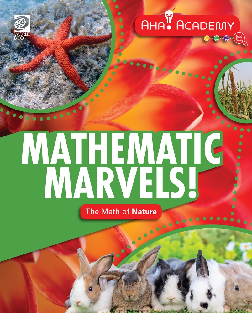 Avadamy Math Aha! Academy: Math | World Book