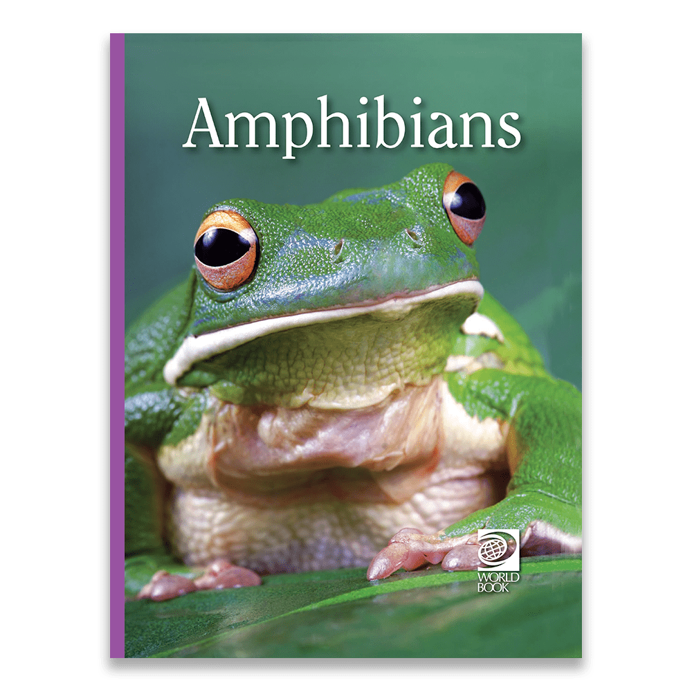 Amphibians - Animal Lives World Book