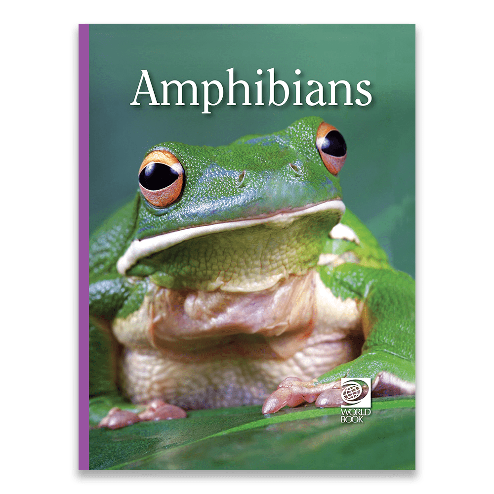 Amphibians cover