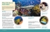 Fish in coral reefs spread
