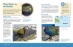 Birds on islands spread