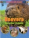 Animals Up Close: Mammals - 20492