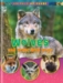 Animals Up Close: Mammals - 20492