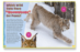 Animals Up Close: Mammals - 20492