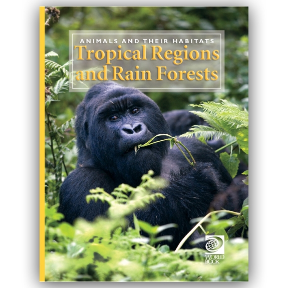 Tropical Regions and Rain Forests cover