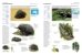 Echidna and salamander spread