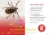 Ticks spread