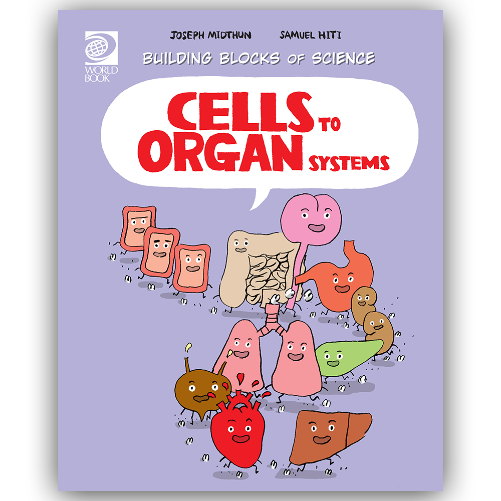 Cells to Organ Systems | World Book Cells to Organ Systems | World Book