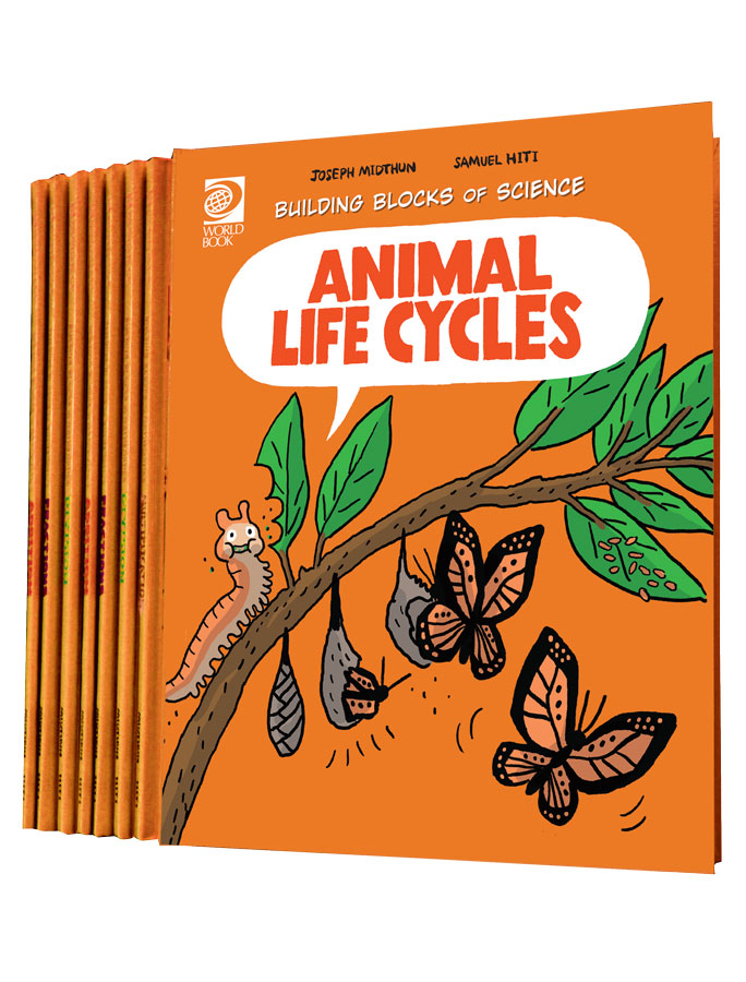 Life Science Kids' Articles at Caitlin Shaeffer blog