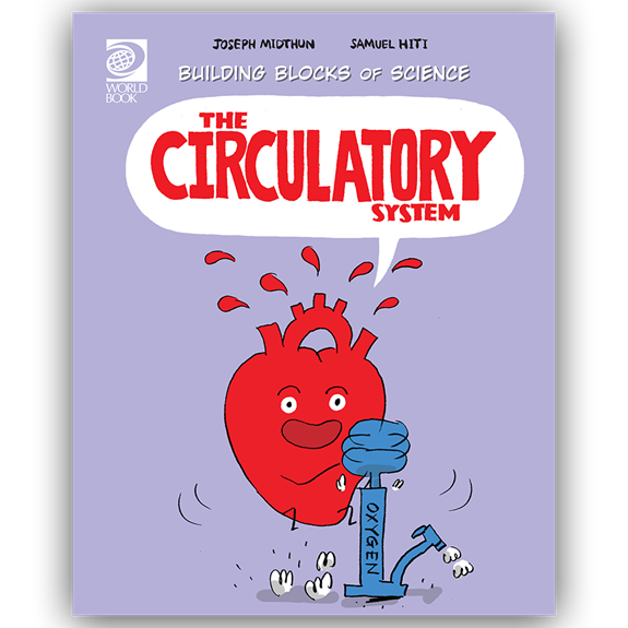 Building Blocks The Circulatory System cover