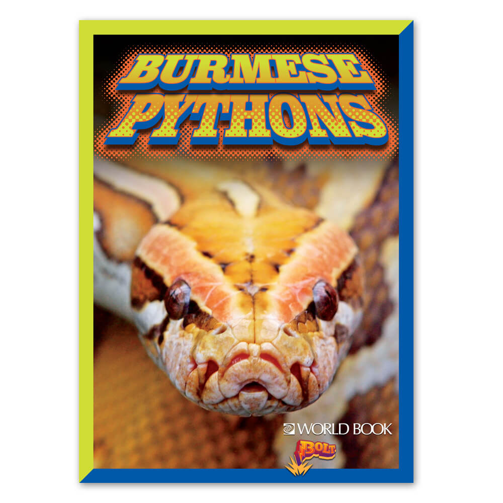Burmese Pythons cover