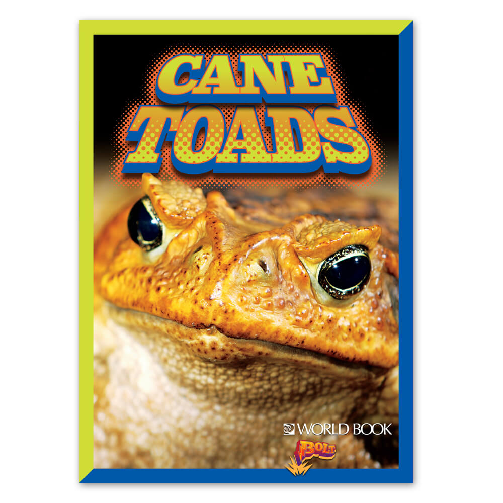 Cane Toads cover