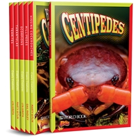 Crawly Creatures crawly, creatures, bugs, non-fiction, gross, interesting, world book