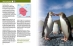 Royal penguin spread