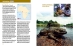 Goliath frog spread