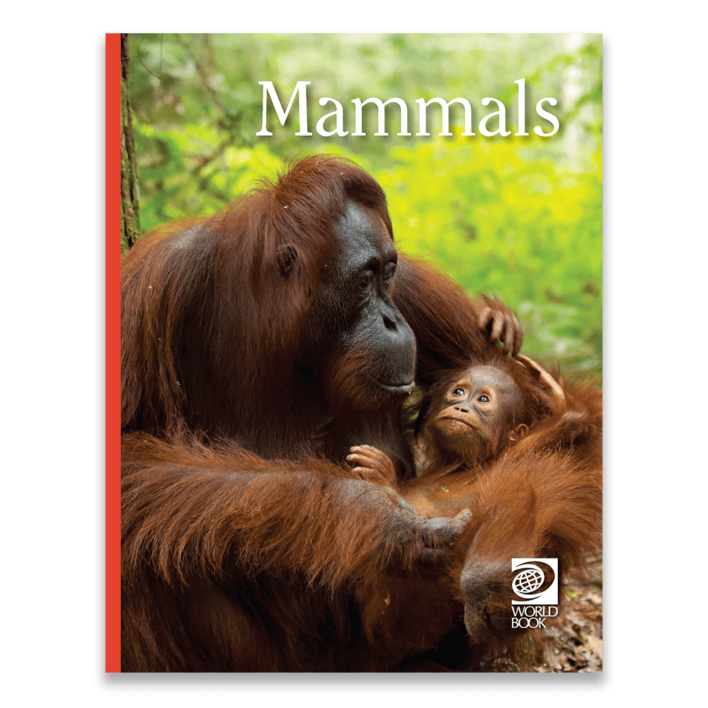 Mammals cover
