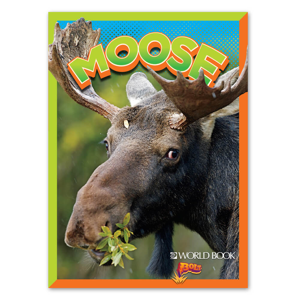 BOLT Moose cover
