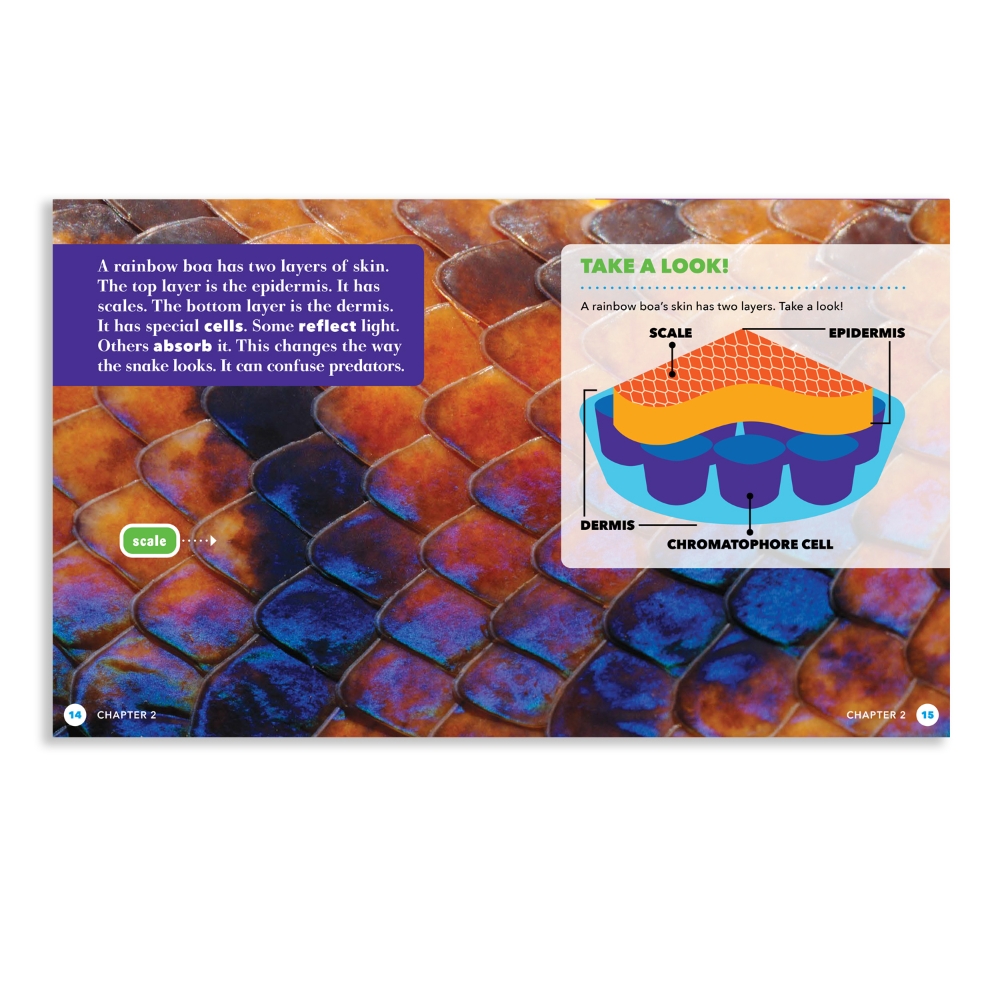 Science Behind the Colors