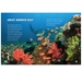 Great Barrier Reef spread