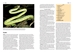 Snake encyclopedia entry spread