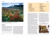 Flower encyclopedia entry spread