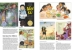 World Book Encyclopedia 2026 - 10057