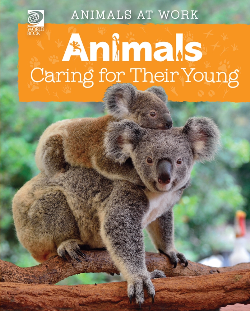 Animals Caring for Their Young | World Book