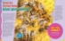 Animals Up Close: Insects  - 20496