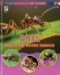 Animals Up Close: Insects  - 20496