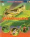 Animals Up Close: Insects  - 20496