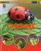 Animals Up Close: Insects  - 20496