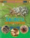 Animals Up Close: Insects  - 20496