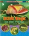 Animals Up Close: Insects  - 20496