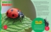 Animals Up Close: Insects  - 20496